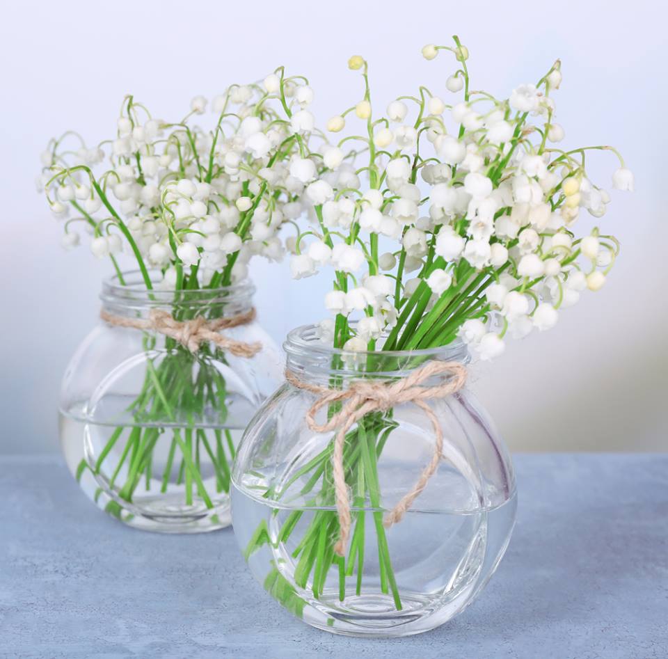 Une bonne décoration de mariage pour l'harmonie parfaite de vos noces.